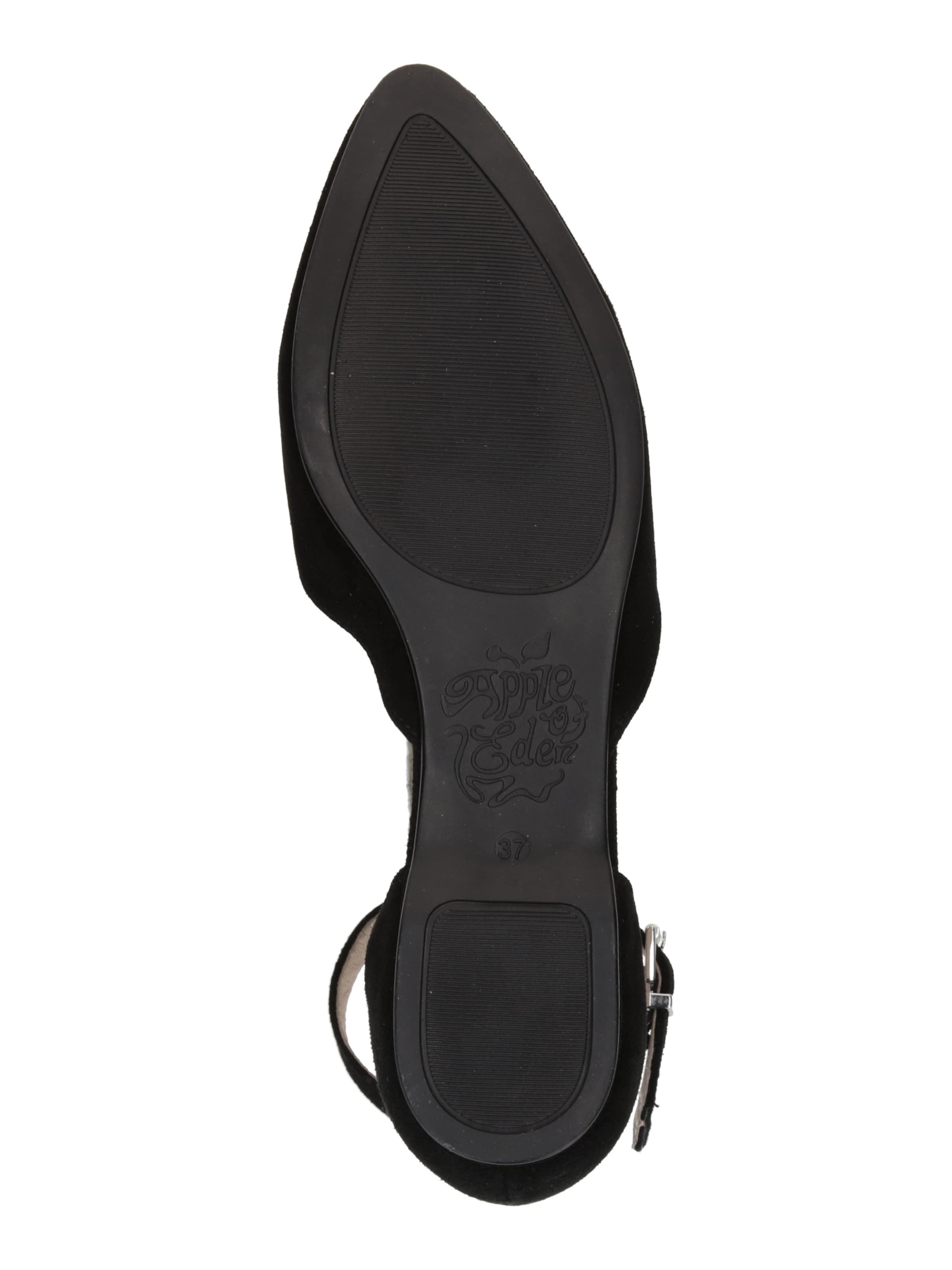 Apple of Eden Ballerina 'Bruna' in Black