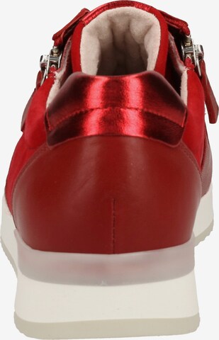 GABOR Sneakers laag in Rood