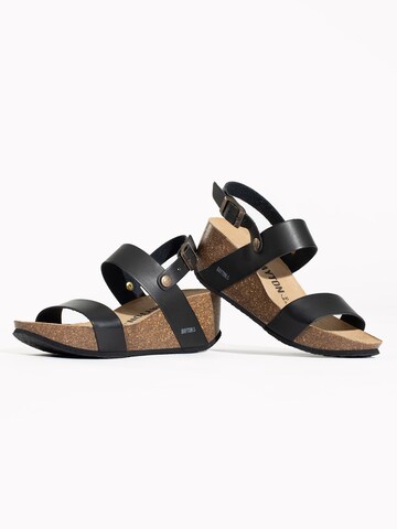 Bayton Sandalen met riem 'Selene' in Zwart