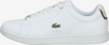 Sneaker bassa di LACOSTE in bianco