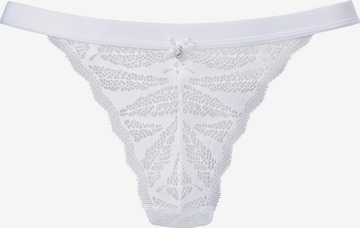 balta VIVANCE Siaurikės: priekis