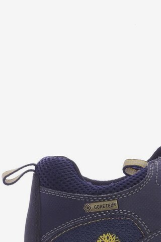 TIMBERLAND Sneakers & Trainers in 39 in Blue