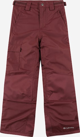 COLUMBIA Regular Outdoor Pants 'Bugaboo II' in Purple: front