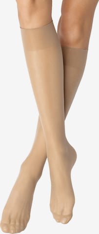 Nur Die Knee High Socks ' 2er-Pack 20 DEN ' in Brown: front