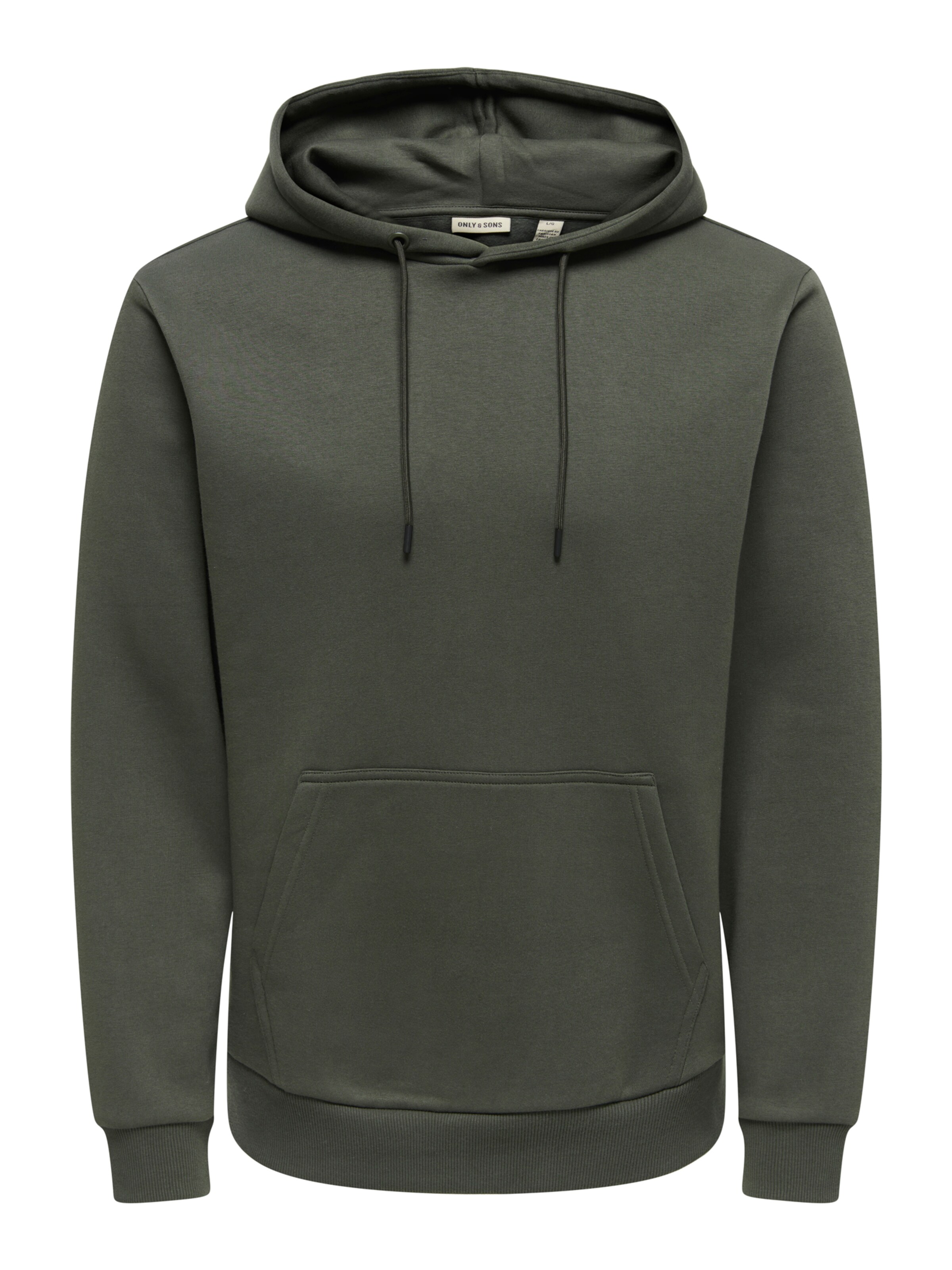 Only & Sons Regular Fit Hoodie in Grün: Vorderseite
