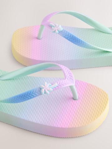 Sandalo di Next in colori misti