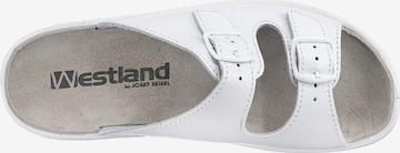 Westland Mules 'Metz' in White