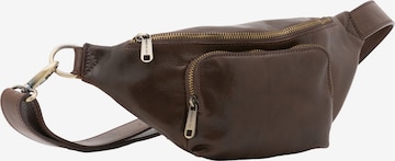 Viola Castellani Gürteltasche in Braun: Vorderseite