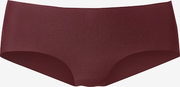 LASCANA - Panti en marrón: frente