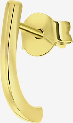 Lucardi Earrings in Gold: front