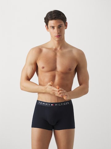 Boxers Tommy Hilfiger Underwear en gris