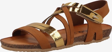 IGI&CO Sandals in Brown: front