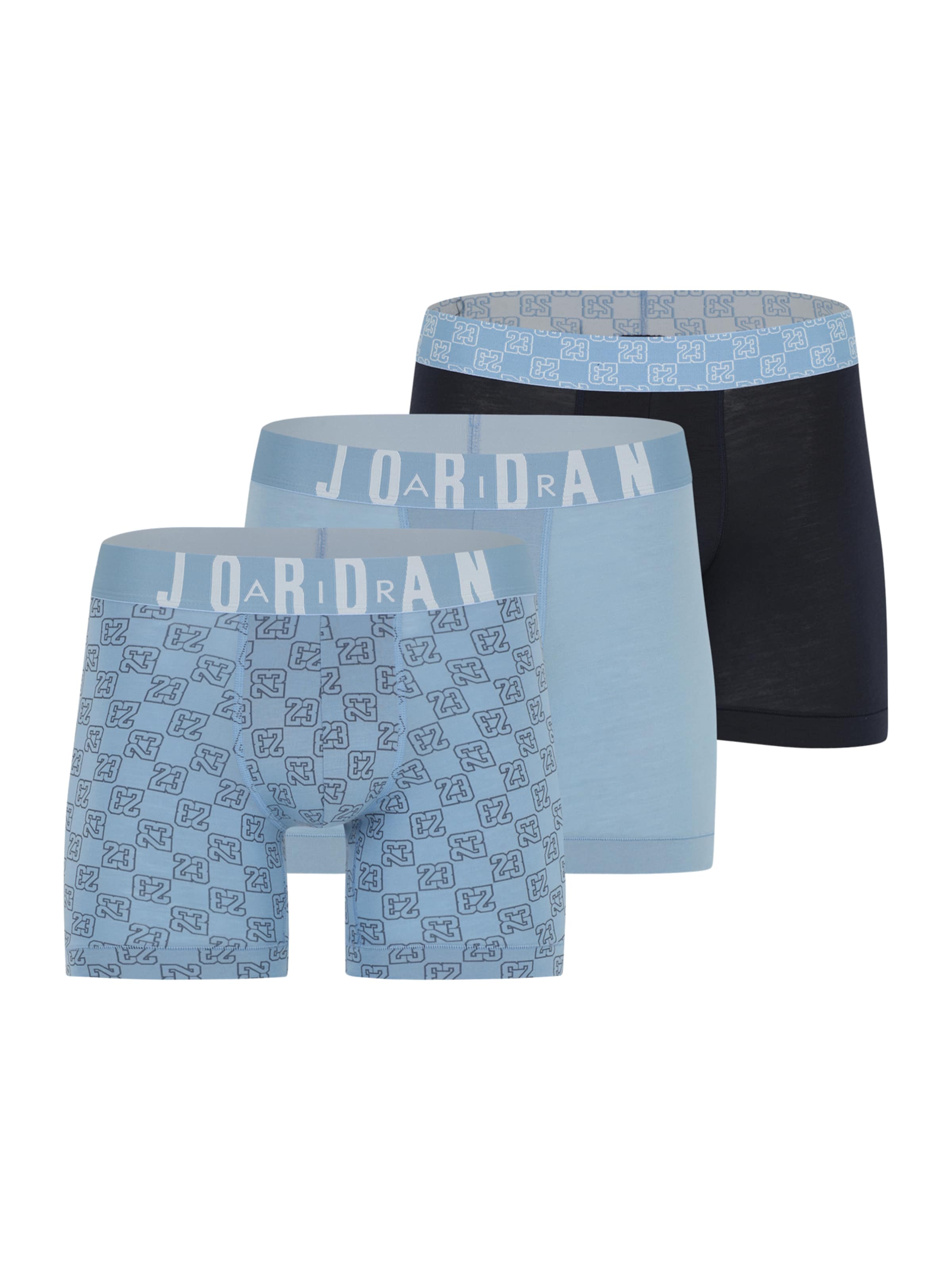 Jordan Boxer shorts in Blue: front