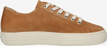 Paul Green Sneakers laag in Bruin