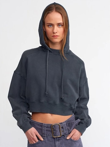 Dilvin Sweatshirt in Grey: front