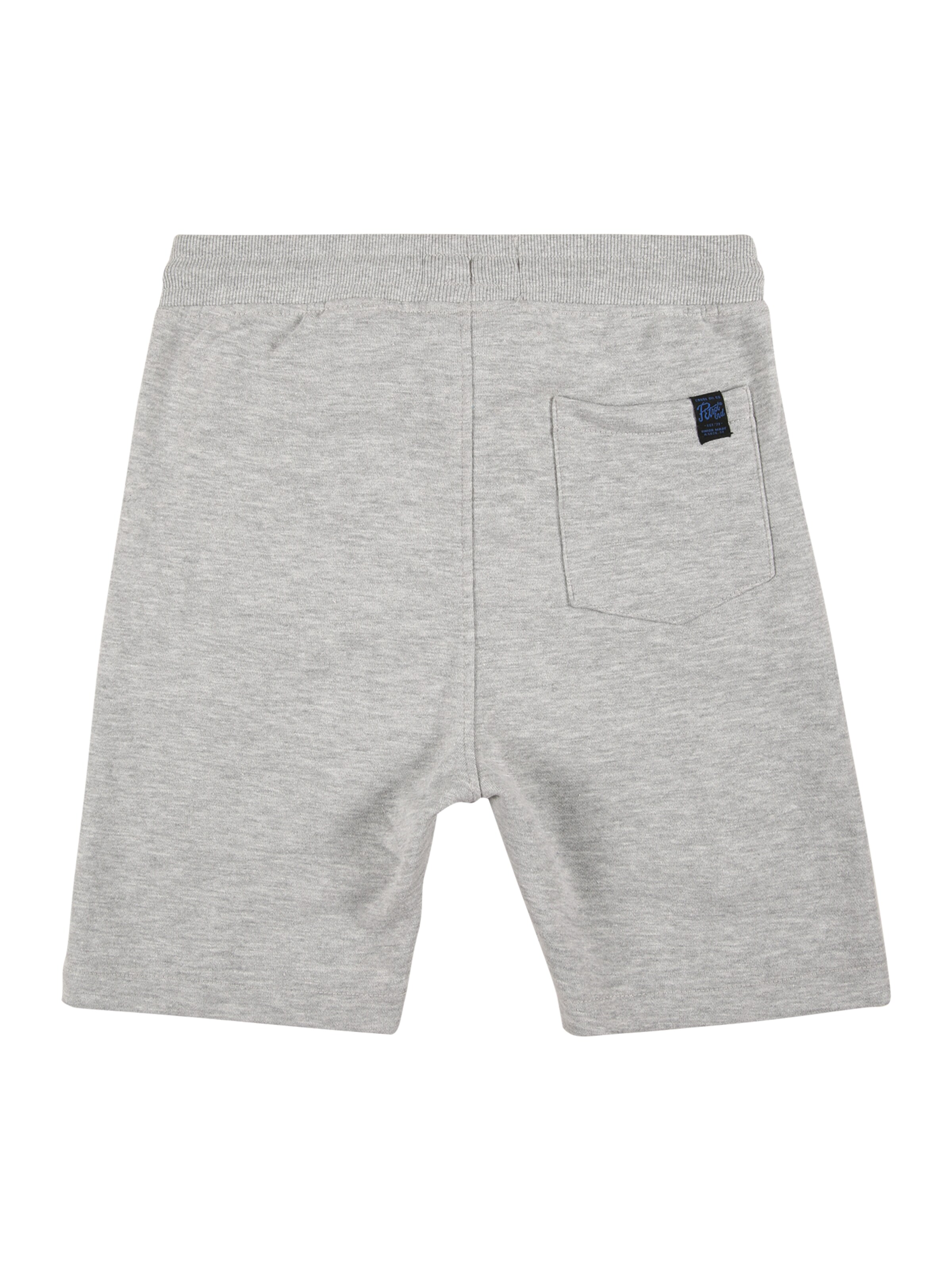 Petrol Industries Regularen Hlače | siva barva