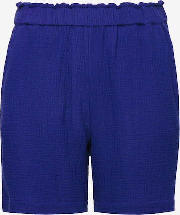Studio Untold Wide leg Trousers in Blue: front