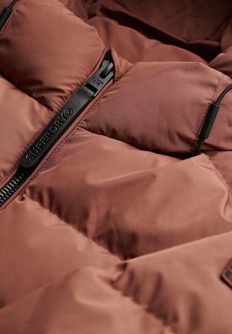 Veste d’hiver Superdry en marron