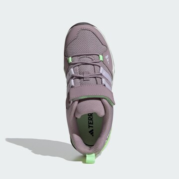 ADIDAS TERREX Low shoe 'Ax2R Hook-And-Loop' in Purple