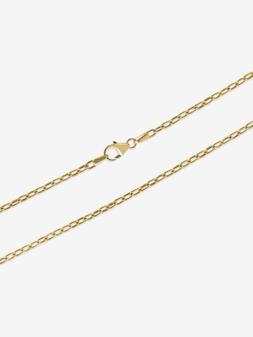 FAVS Kette in Gold