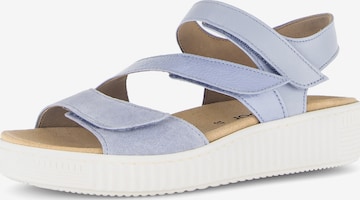 GABOR Riemensandale in Blau: Vorderseite