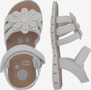 CHICCO Sandals 'Calista' in White