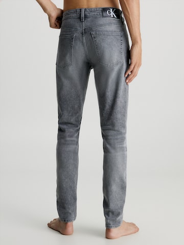 Calvin Klein JeansSlimfit Traperice - siva boja