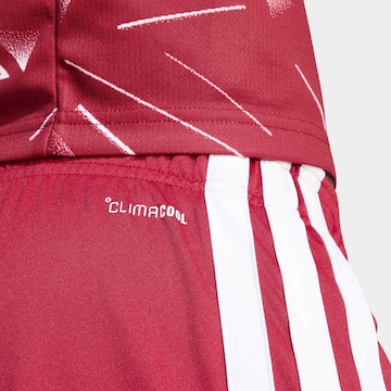 ADIDAS PERFORMANCE - regular Pantalón deportivo 'FC Liverpool 26/27' en rojo