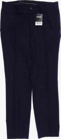 Tiger of Sweden Pants in 33 in Blue: front