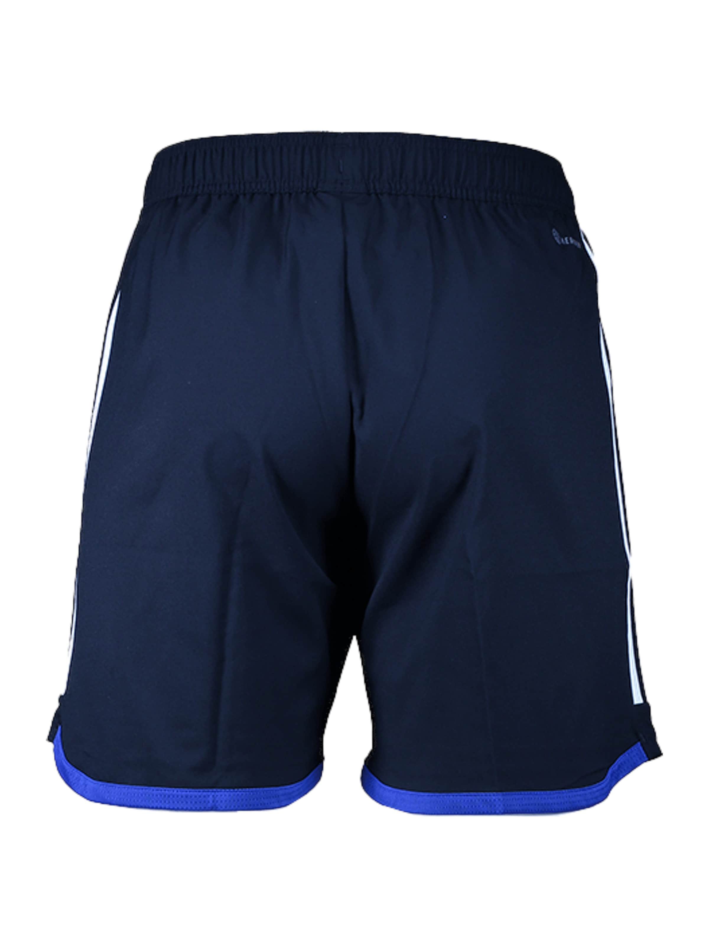 regular Pantaloni sportivi di ADIDAS PERFORMANCE in blu
