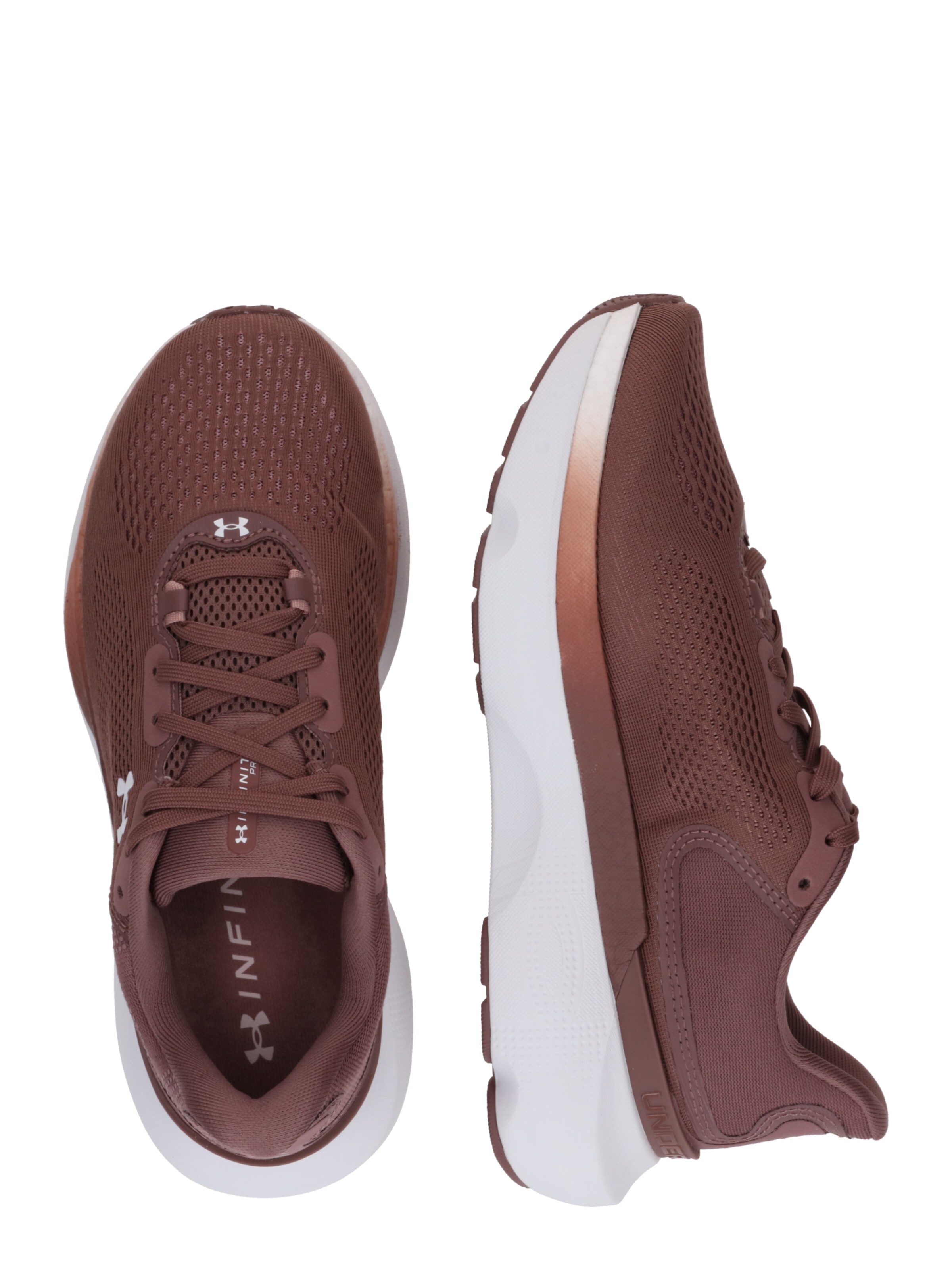 UNDER ARMOUR - Sapatilha de corrida 'Infinite Pro 2' em castanho