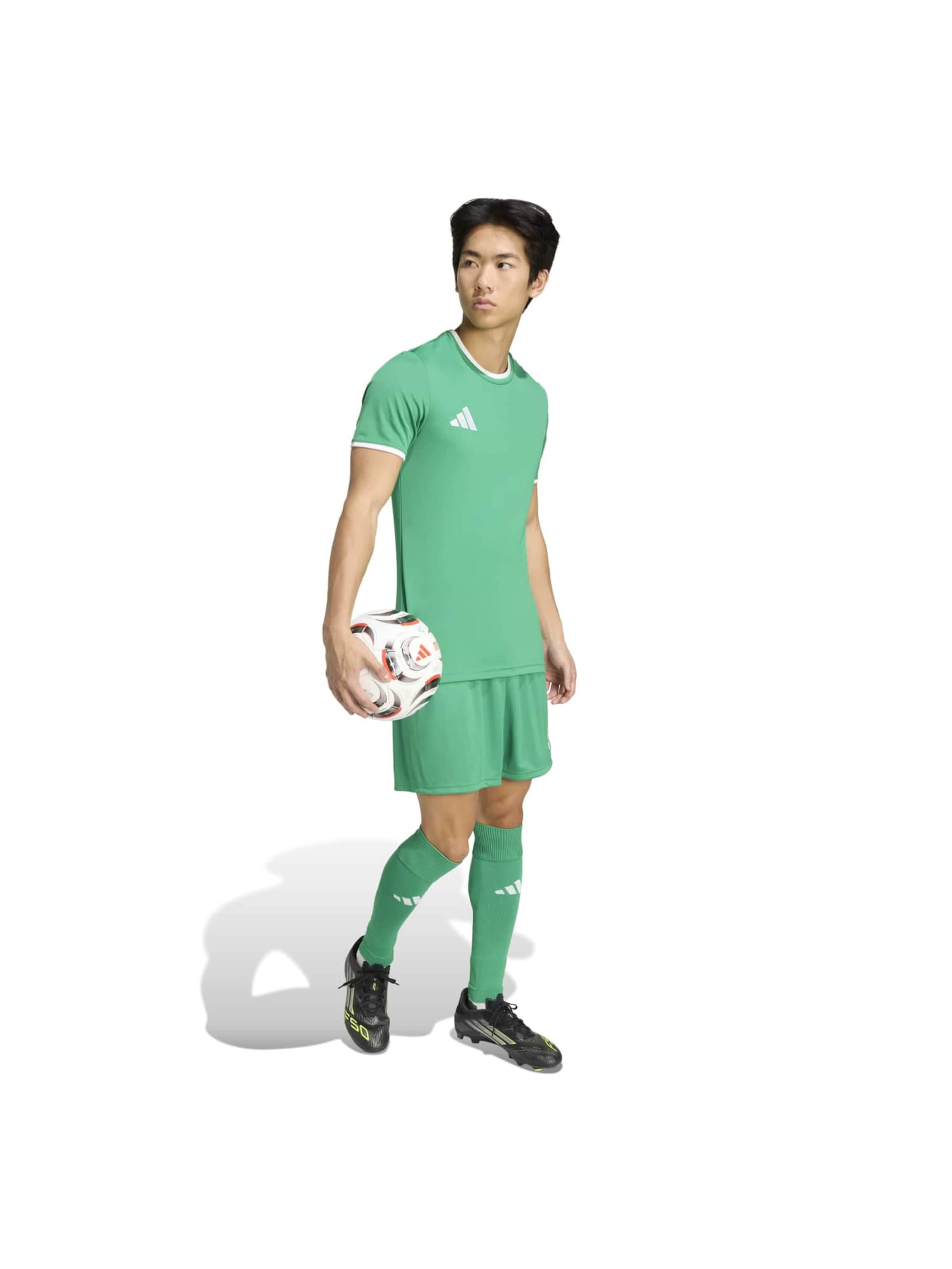 ADIDAS PERFORMANCE regular Παντελόνι φόρμας 'ENT26' σε πράσινο