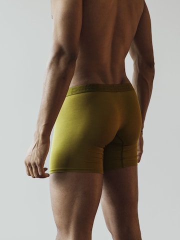 pckd – underwear done right. Boxer shorts in Green