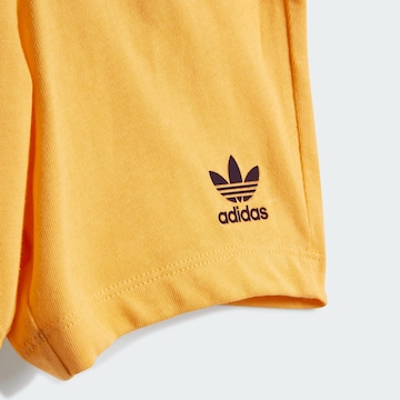 Set ADIDAS ORIGINALS en orange