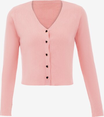 IMMY Knit Cardigan in Pink: front