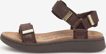 WODEN Sandals 'Line Fish' in Brown: front