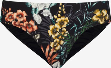 Marc & André Bikini Bottoms in Black: front