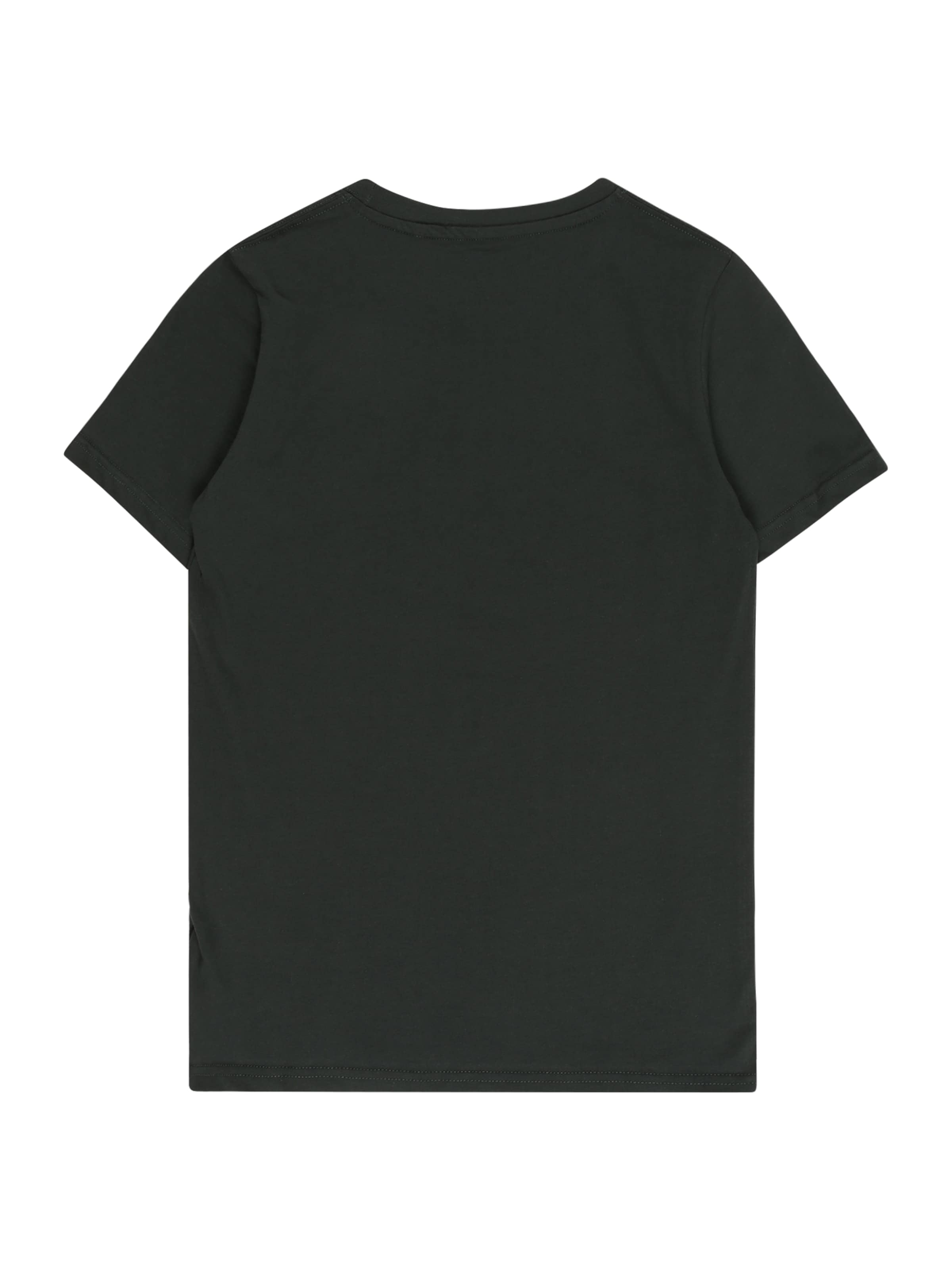 ALPHA INDUSTRIES Shirt in Groen