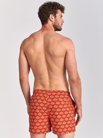 Shiwi Board Shorts 'Pyramid' in Orange