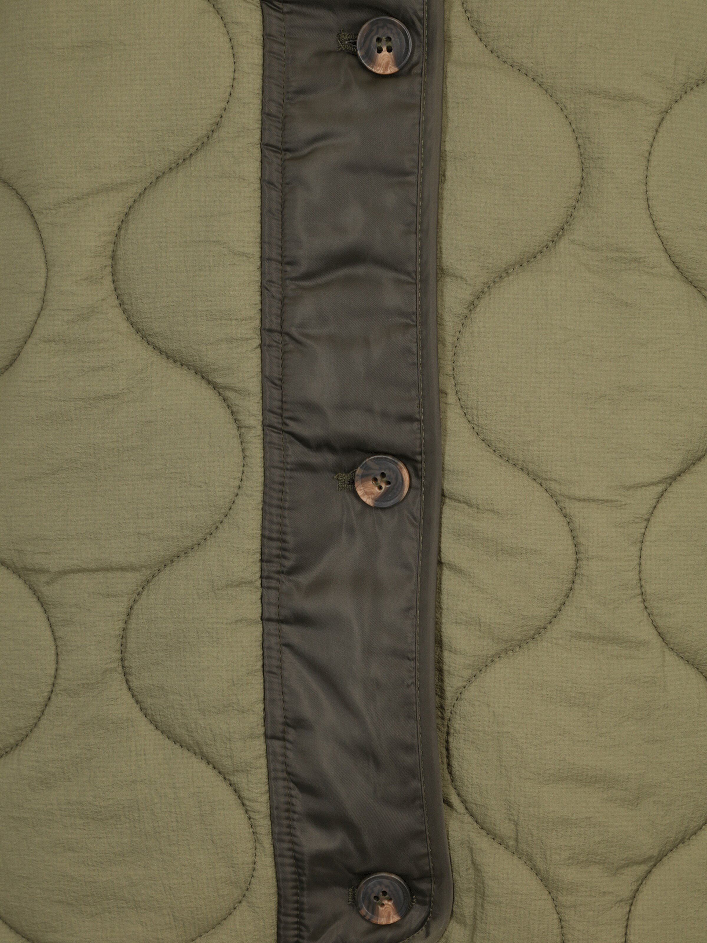 Dorothy Perkins Tall Демисезонная куртка в Зеленый