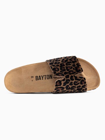 Bayton Mule 'Djilian' in Brown