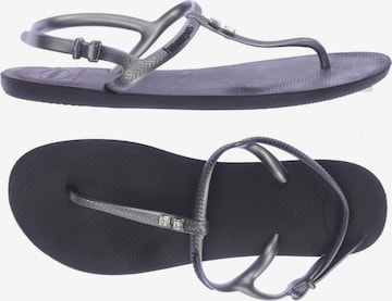 HAVAIANAS Sandals & High-Heeled Sandals in 41 in Grey: front