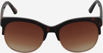 AÉROPOSTALE Sunglasses in Brown