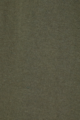 Ulla Popken Kleid in Grün