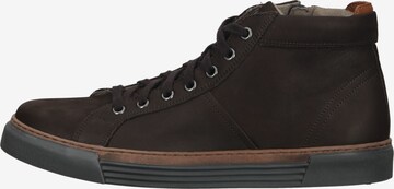 Pius Gabor Sneakers laag in Bruin