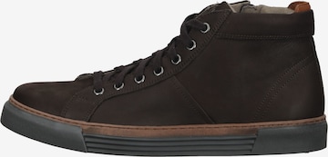 Pius Gabor Sneakers in Brown