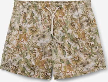 CALZEDONIA Swim Trunks 'Formentera' in Green: front