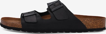 SALAMANDER Mules 'Basic' in Black: front