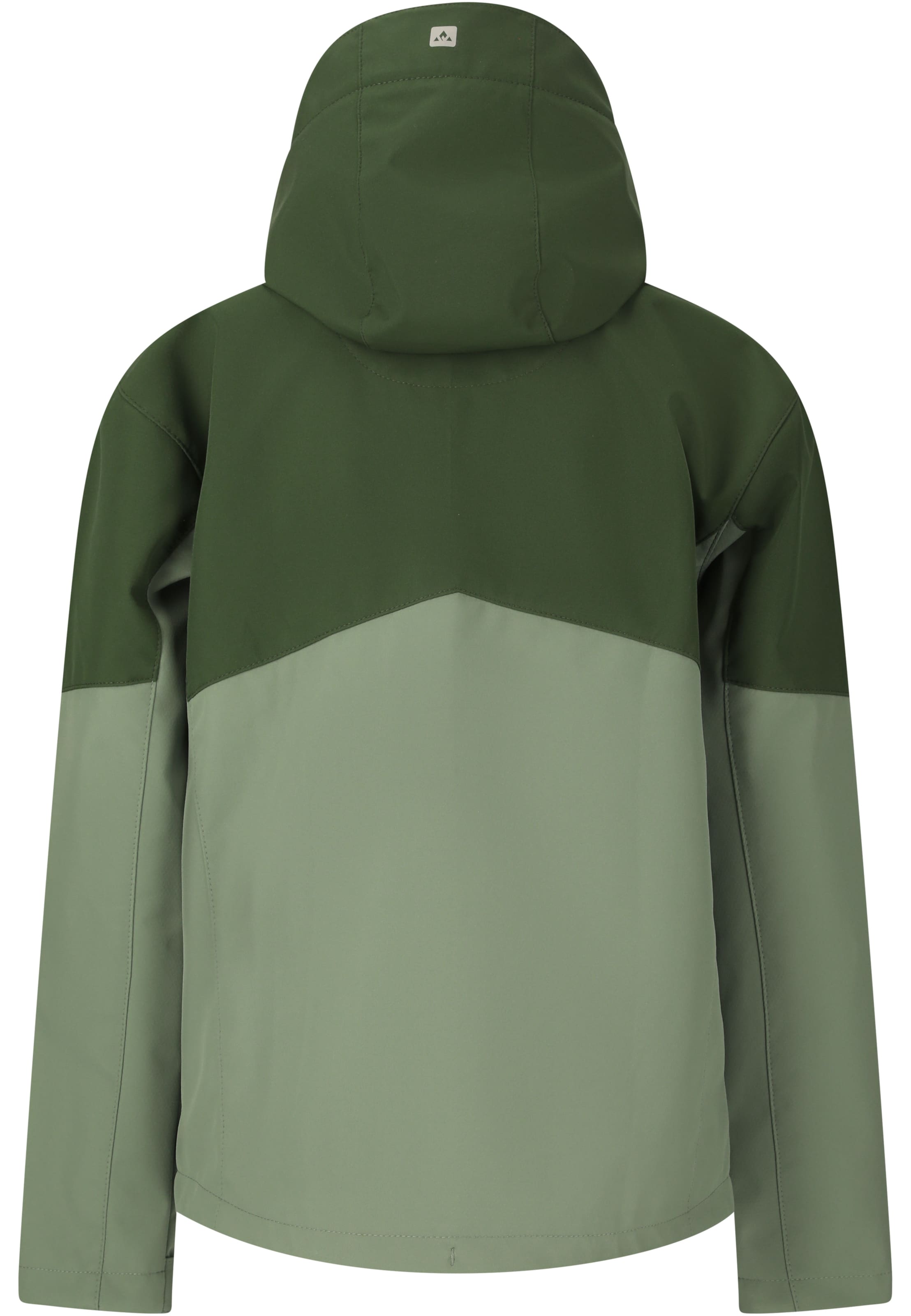 Veste de sport 'Rodney V2' Whistler en vert