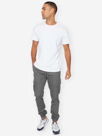 Threadbare Slimfit lange Cargohose 'Garrix' in Grau